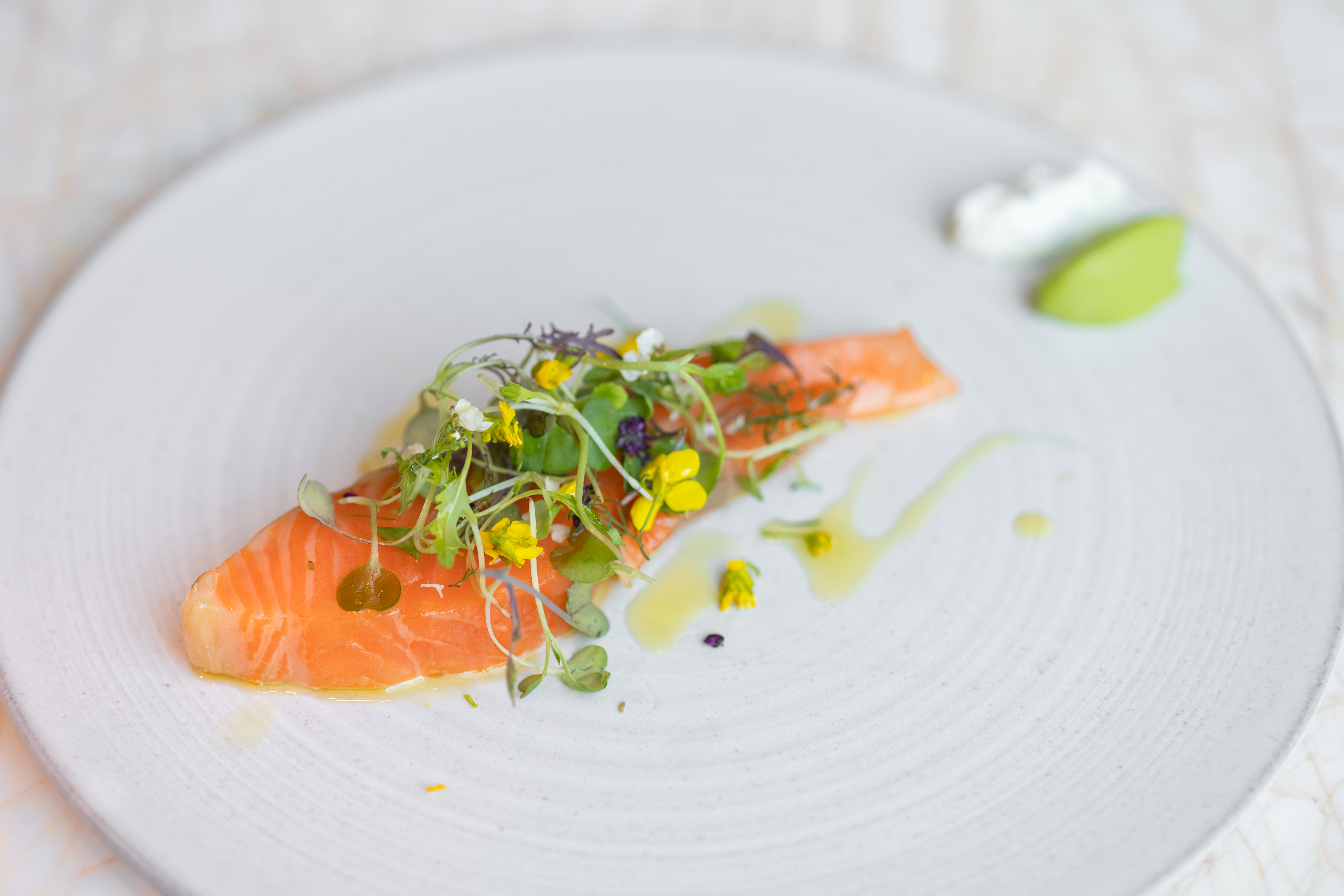 料理・ドリンク